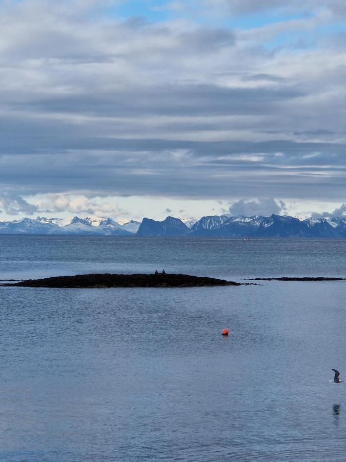 Roligheten Lodge In Andenes Exterior foto